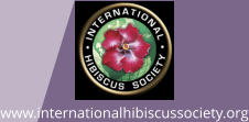 www.internationalhibiscussociety.org